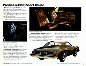 1975 Pontiac LeMans (Cdn)-05.jpg